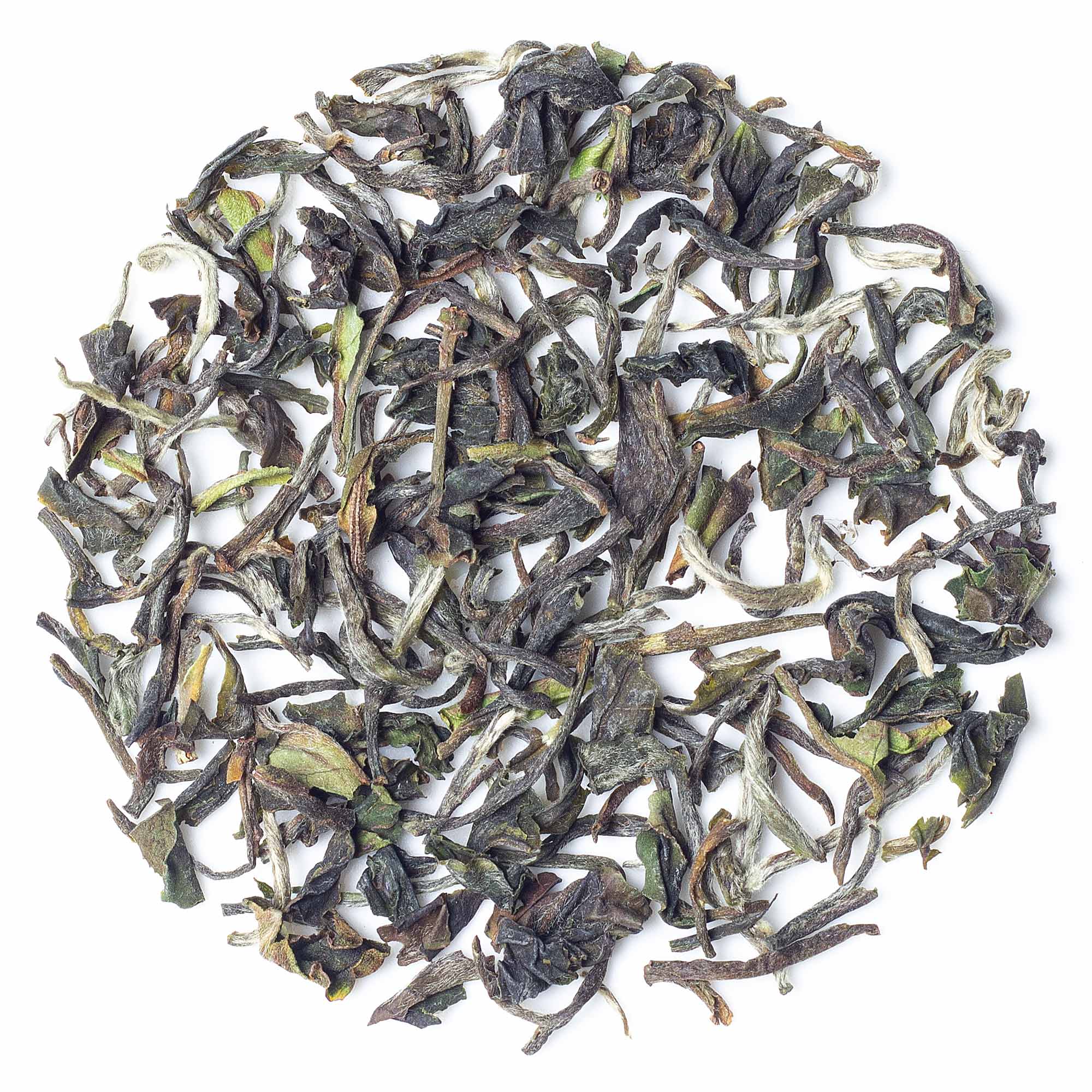 Seeyok Spring Secret First Flush Darjeeling tea single estate loose leaf