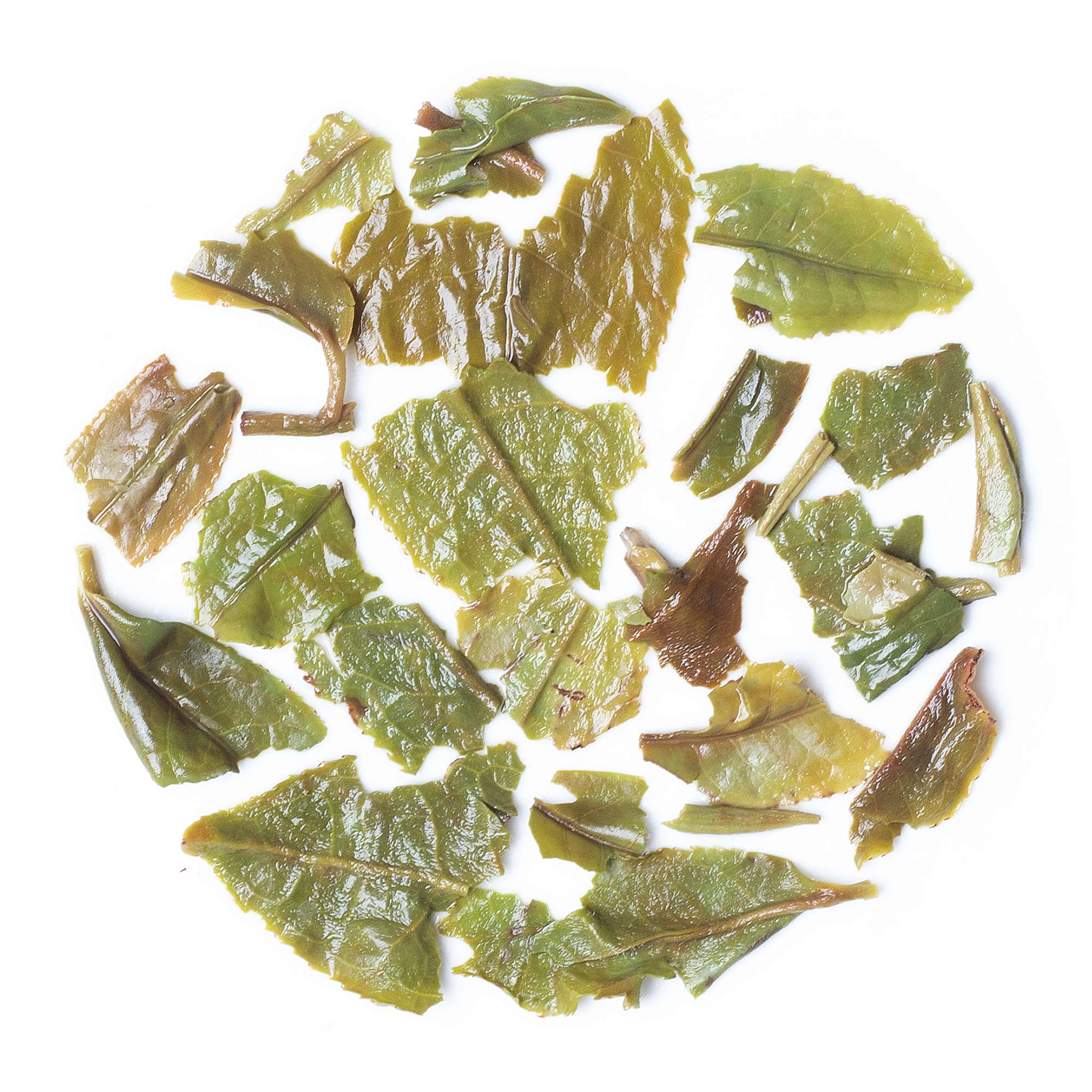 Seeyok Tea Estate Darjeeling first flush tea from 5500 ft gardens