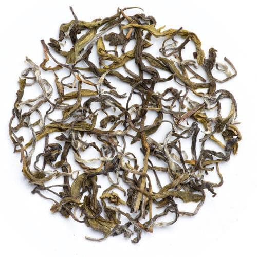 Single estate Arya Emerald green tea made from high elevation leaves